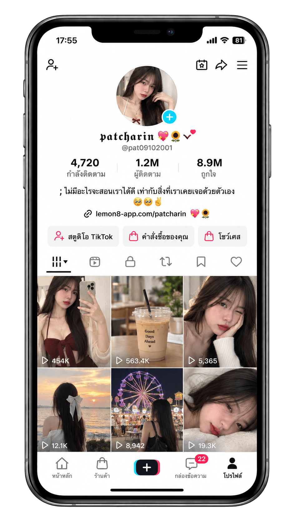 ตัวอย่างหน้าข้อมูลช่อง TikTok